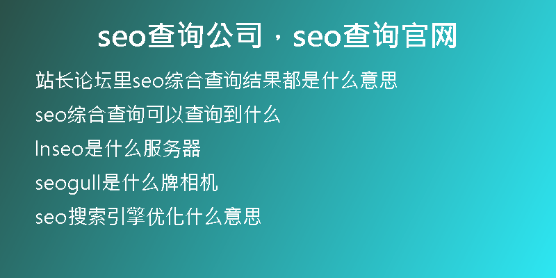seo查询公司，seo查询官网