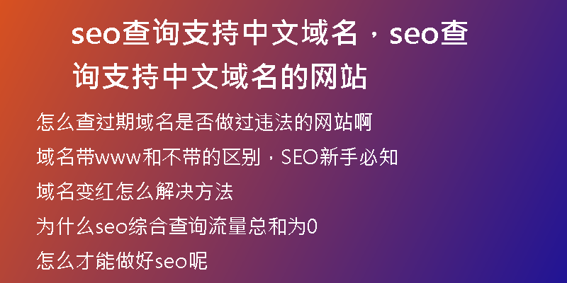 seo查询支持中文域名，seo查询支持中文域名的网站