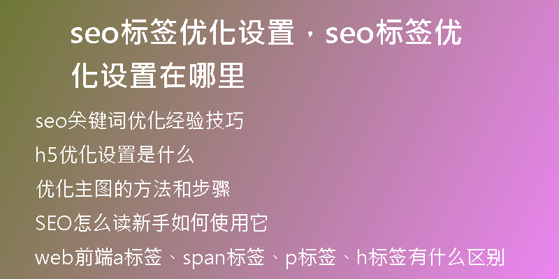 seo标签优化设置，seo标签优化设置在哪里