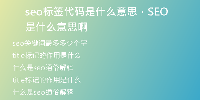 seo标签代码是什么意思,SEO是什么意思啊