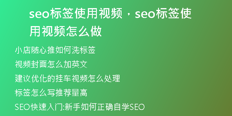 seo标签使用视频，seo标签使用视频怎么做