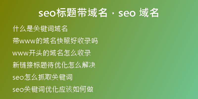 seo标题带域名,seo 域名