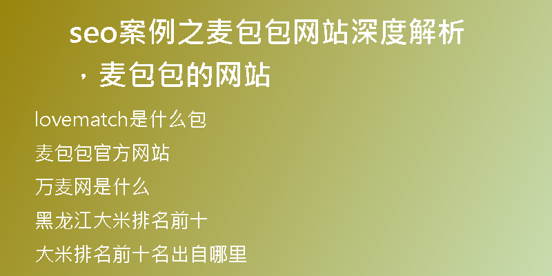seo案例之麦包包网站深度解析，麦包包的网站