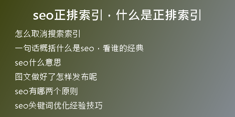 seo正排索引,什么是正排索引