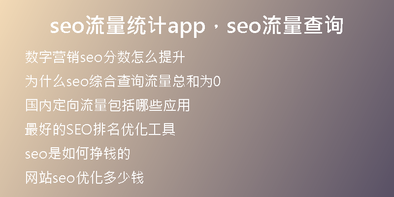 seo流量统计app，seo流量查询