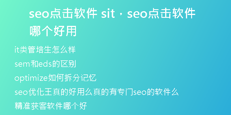 seo点击软件 sit，seo点击软件哪个好用