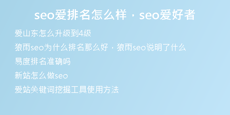 seo爱排名怎么样，seo爱好者