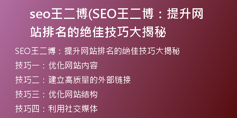 seo王二博(SEO王二博：提升网站排名的绝佳技巧大揭秘