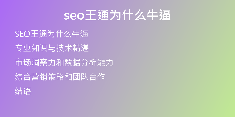 seo王通为什么牛逼