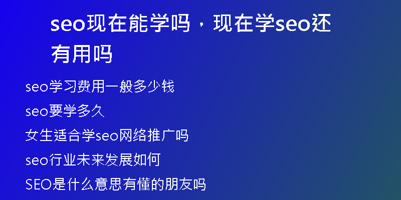 seo现在能学吗，现在学seo还有用吗