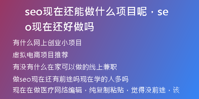 seo现在还能做什么项目呢，seo现在还好做吗