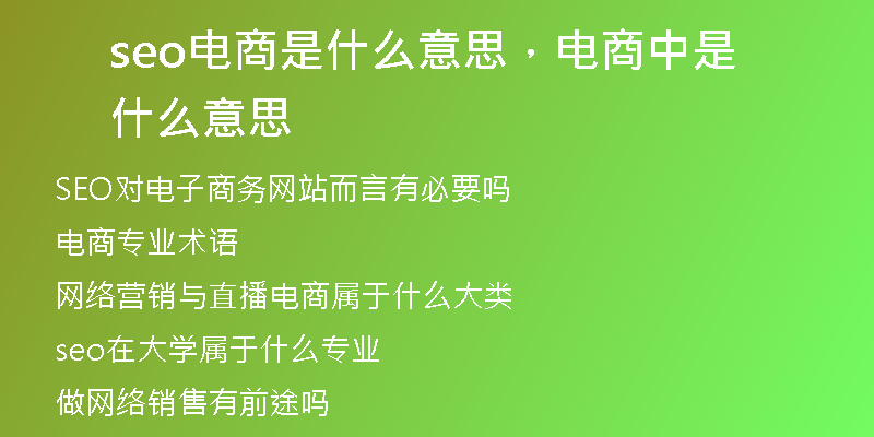 seo电商是什么意思，电商中是什么意思