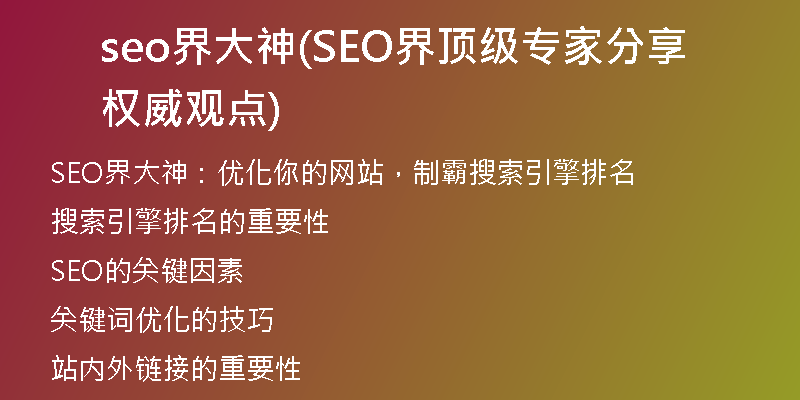 seo界大神(SEO界顶级专家分享权威观点)