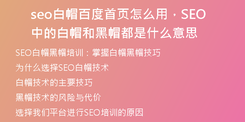 seo白帽百度首页怎么用，SEO中的白帽和黑帽都是什么意思
