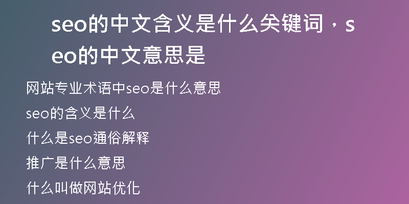 seo的中文含义是什么关键词，seo的中文意思是