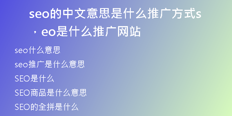 seo的中文意思是什么推广方式，seo是什么推广网站