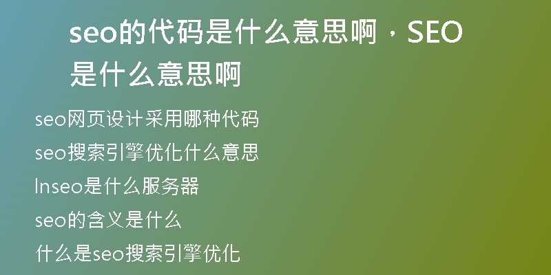 seo的代码是什么意思啊，SEO是什么意思啊