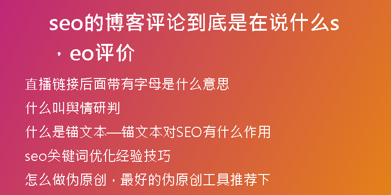 seo的博客评论到底是在说什么，seo评价