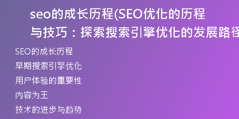 seo的成长历程(SEO优化的历程与技巧：探索搜索引擎优化的发展路径)