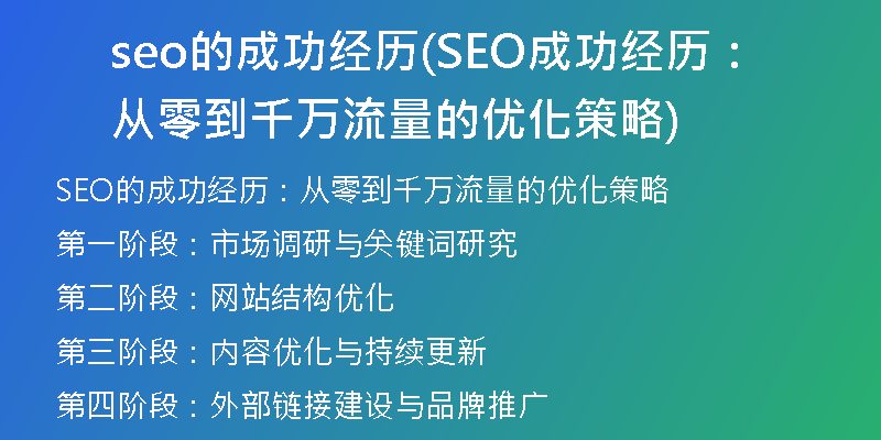 seo的成功经历(SEO成功经历：从零到千万流量的优化策略)