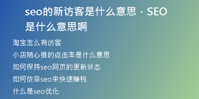 seo的新访客是什么意思，SEO是什么意思啊