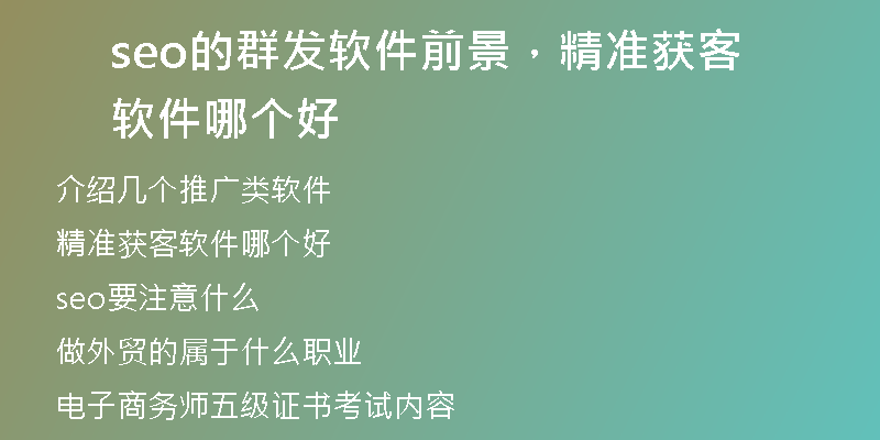 seo的群发软件前景，精准获客软件哪个好