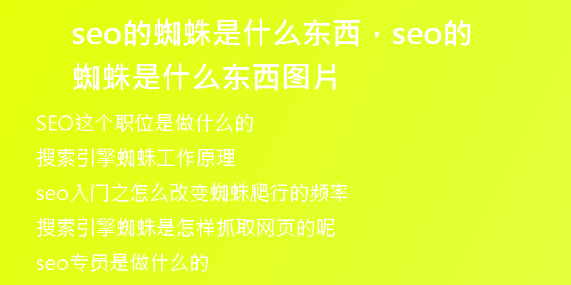 seo的蜘蛛是什么东西，seo的蜘蛛是什么东西图片