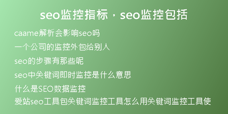 seo监控指标，seo监控包括
