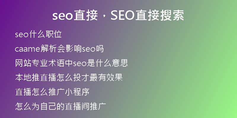 seo直接，SEO直接搜索