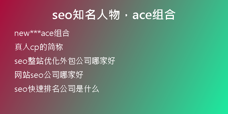 seo知名人物，ace组合