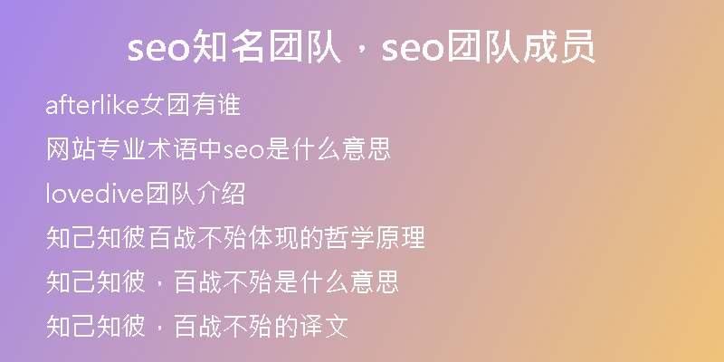 seo知名团队,seo团队成员
