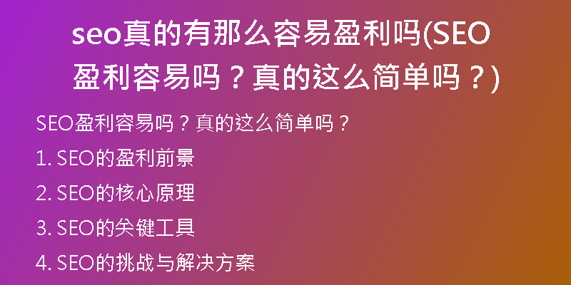 seo真的有那么容易盈利吗(SEO盈利容易吗？真的这么简单吗？)