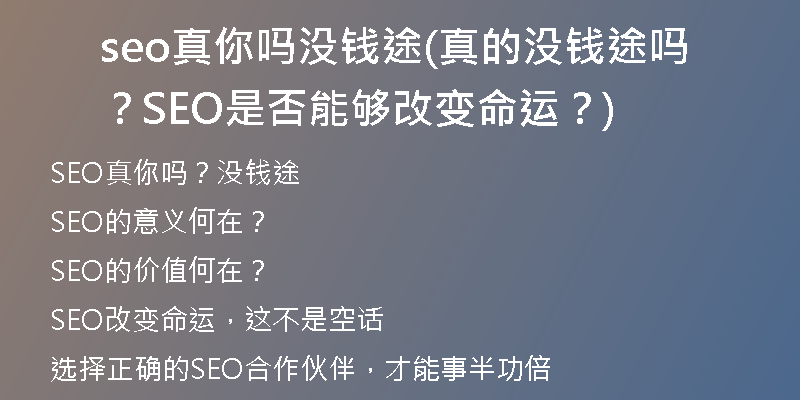 seo真你吗没钱途(真的没钱途吗？SEO是否能够改变命运？)
