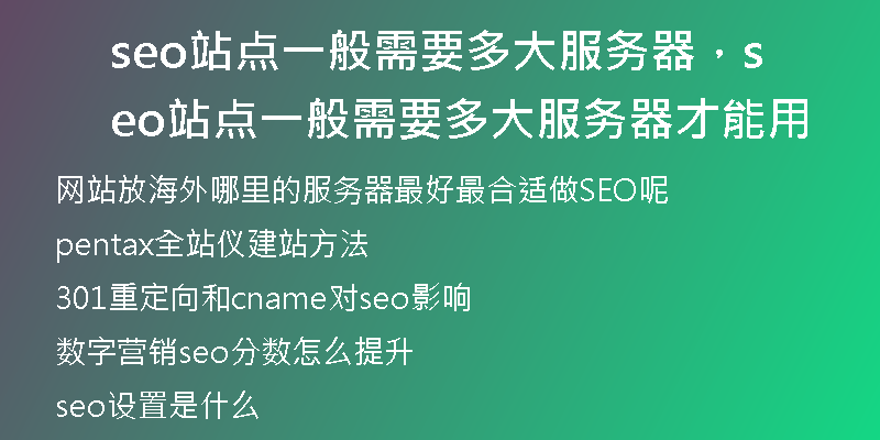 seo站点一般需要多大服务器，seo站点一般需要多大服务器才能用