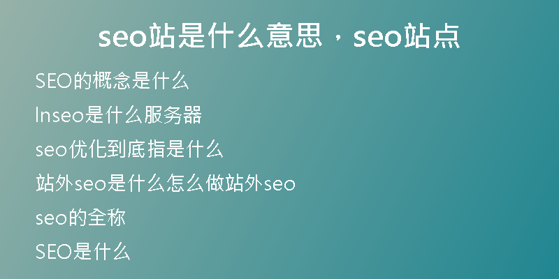seo站是什么意思，seo站点