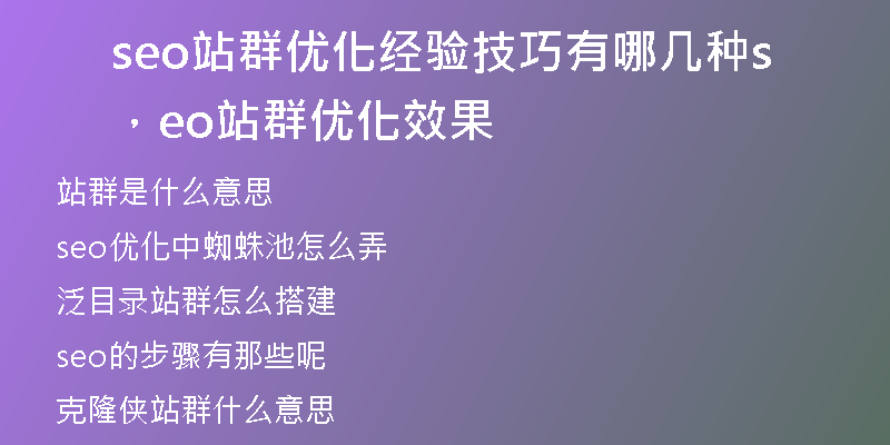 seo站群优化经验技巧有哪几种，seo站群优化效果