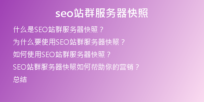 seo站群服务器快照