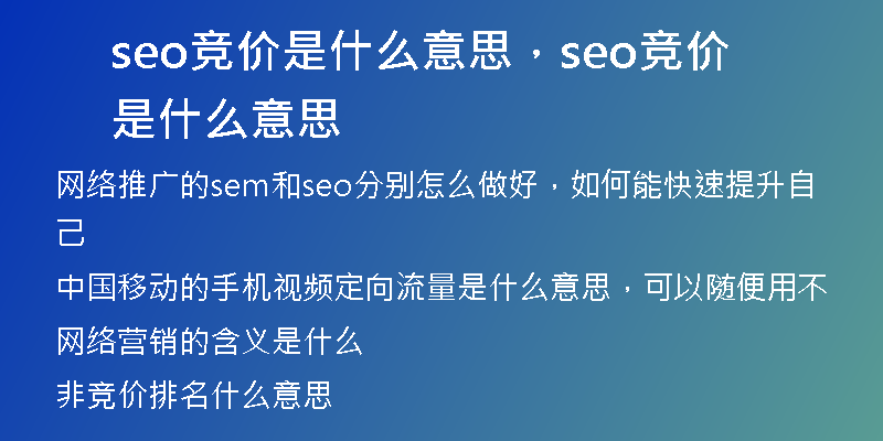 seo竞价是什么意思，seo竞价是什么意思
