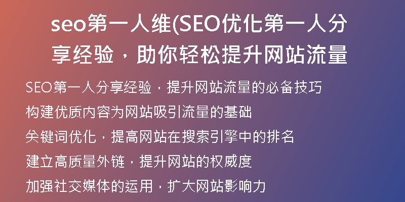seo第一人维(SEO优化第一人分享经验，助你轻松提升网站流量