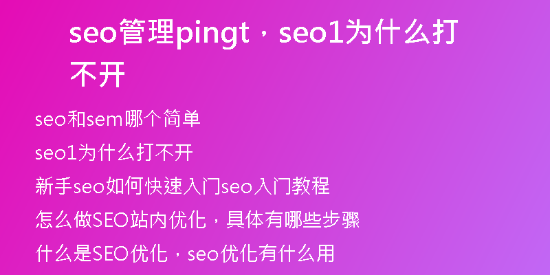 seo管理pingt，seo1为什么打不开