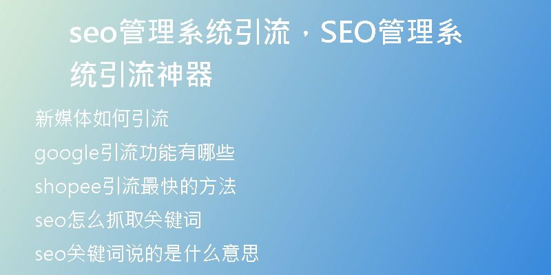 seo管理系统引流，SEO管理系统引流神器