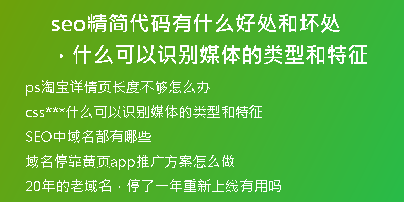 seo精简代码有什么好处和坏处，什么可以识别媒体的类型和特征