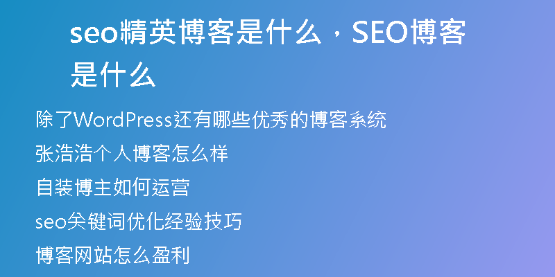 seo精英博客是什么，SEO博客是什么