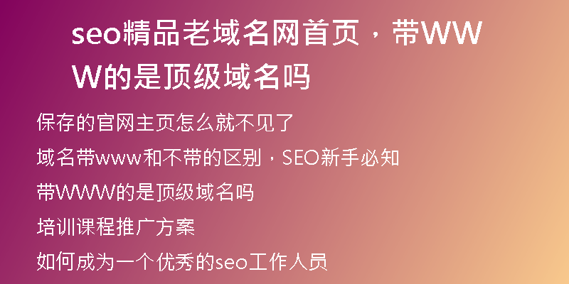 seo精品老域名网首页，带WWW的是顶级域名吗