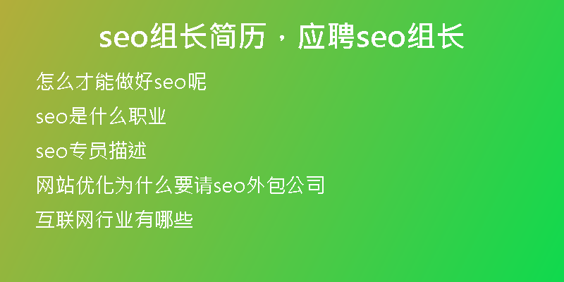 seo组长简历，应聘seo组长