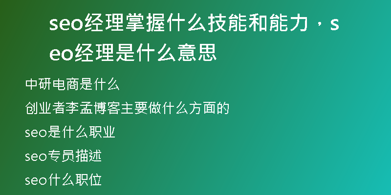 seo经理掌握什么技能和能力，seo经理是什么意思