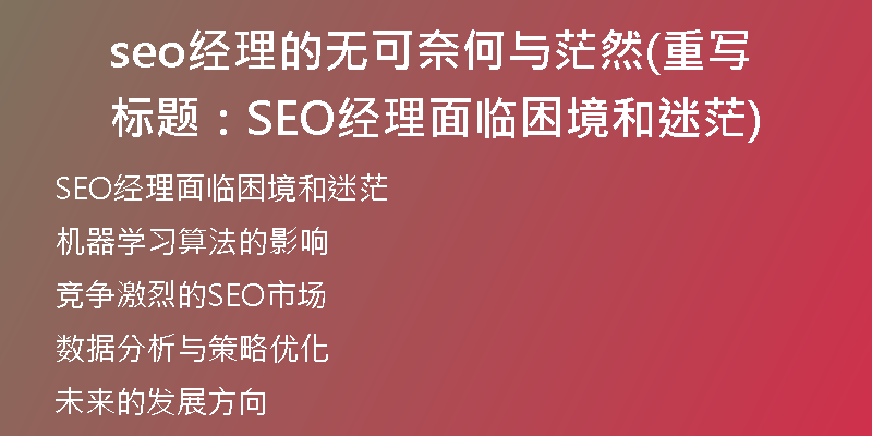 seo经理的无可奈何与茫然(重写标题：SEO经理面临困境和迷茫)