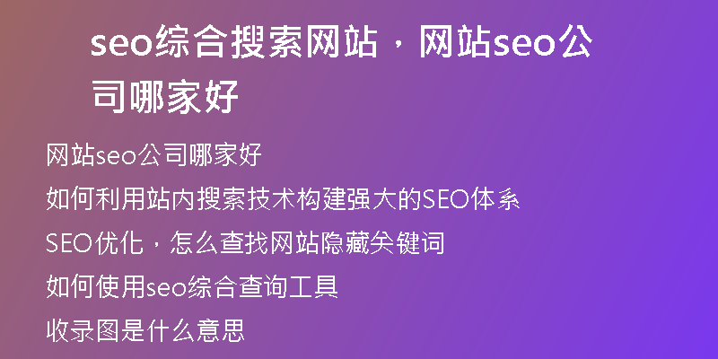seo综合搜索网站，网站seo公司哪家好