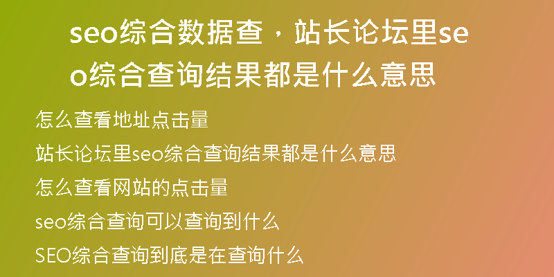 seo综合数据查，站长论坛里seo综合查询结果都是什么意思