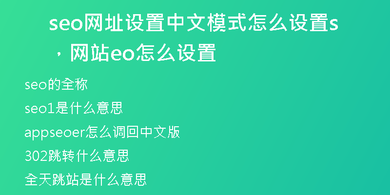 seo网址设置中文模式怎么设置，网站seo怎么设置